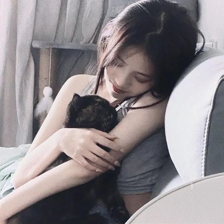 乱发日记