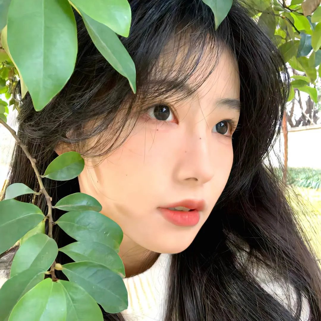 古鲁
